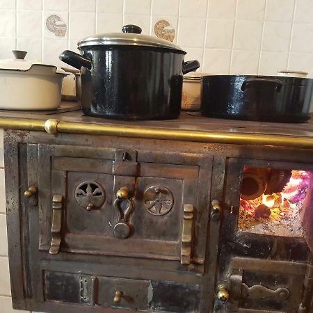 Holiday Home Pri Portolanih كوبر المظهر الخارجي الصورة